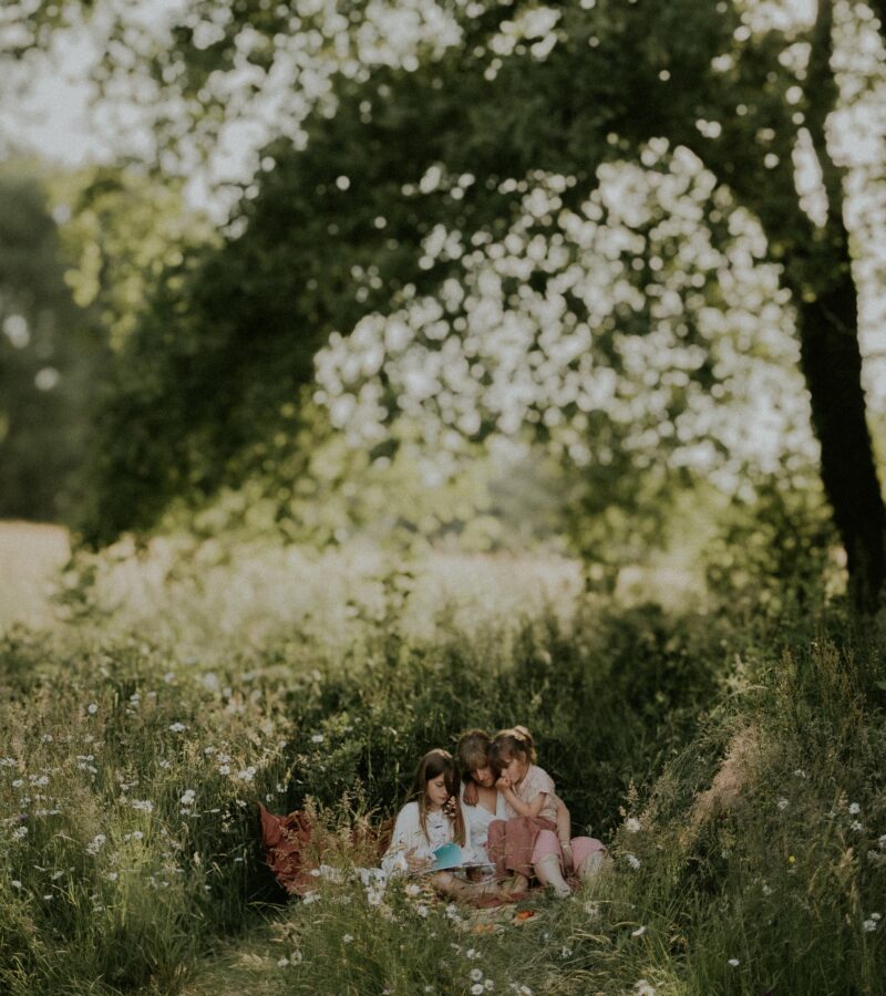 Seance photo famille enfants petites filles pique nique en pleine nature contre jour dore photographe Melissa Jai
